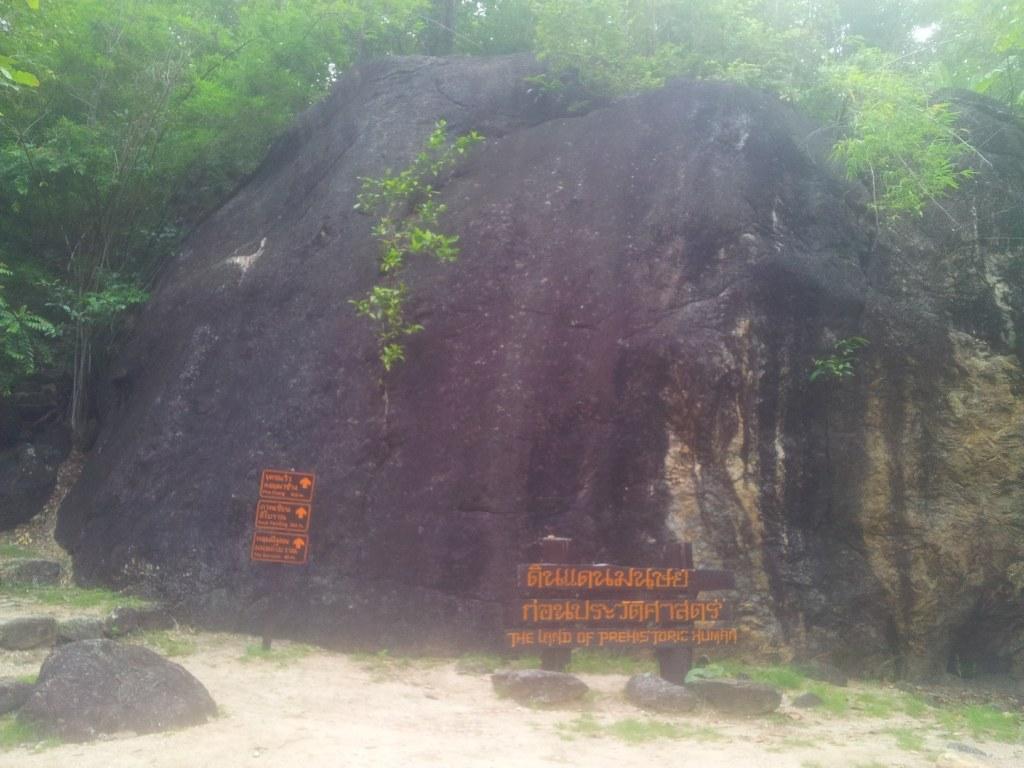 2014-07-30071447.jpg