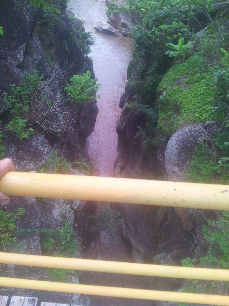 2014-07-30071651.jpg