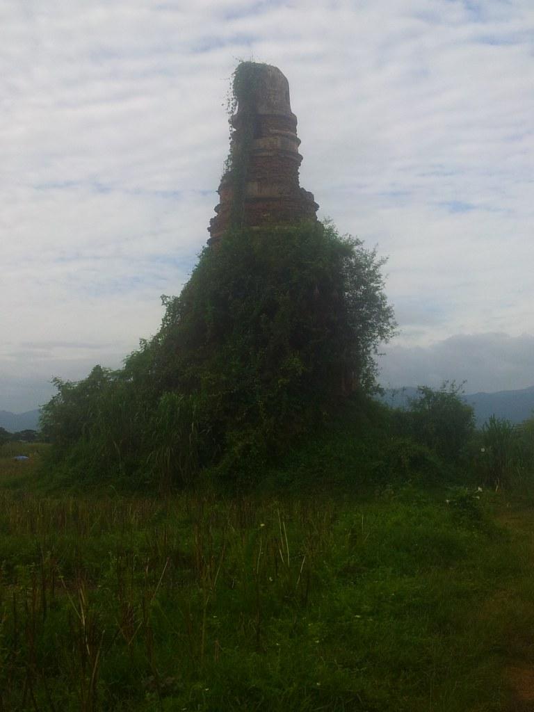 2014-07-30080945.jpg