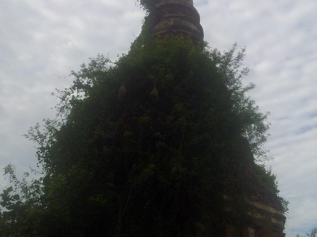 2014-07-30081016.jpg
