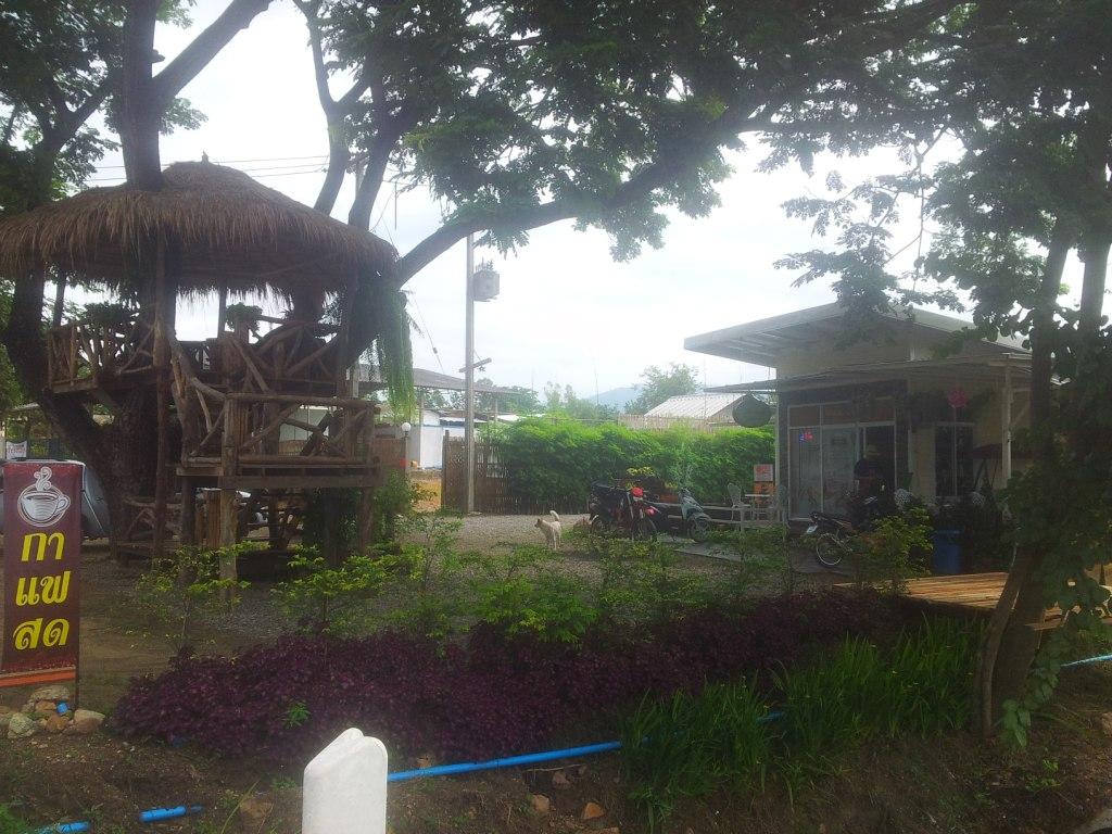 2014-07-30094548.jpg