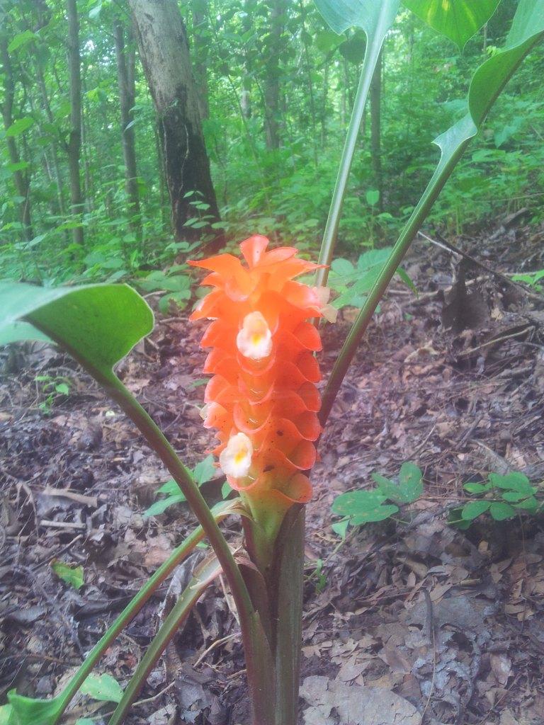 2014-07-30142120.jpg