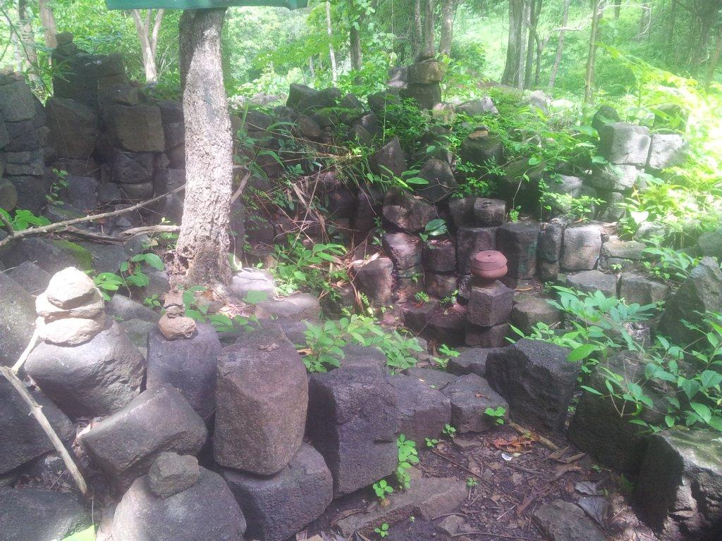 2014-07-30142719.jpg