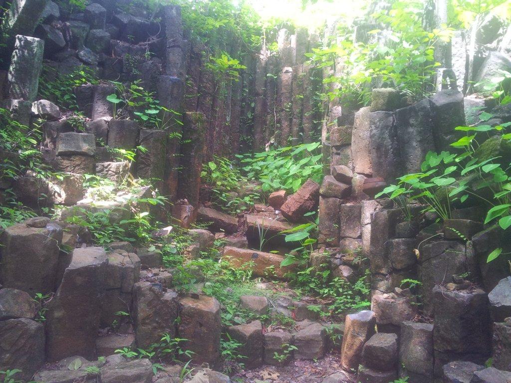 2014-07-30142843.jpg