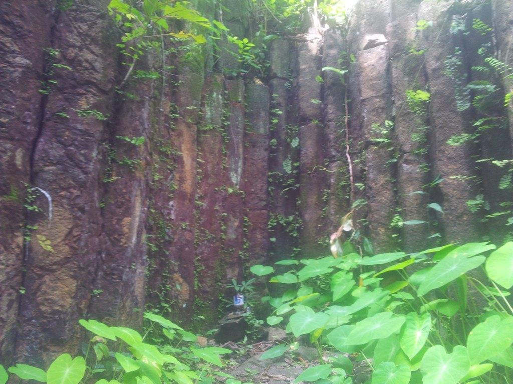 2014-07-30142855.jpg