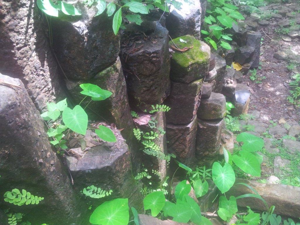 2014-07-30142914.jpg