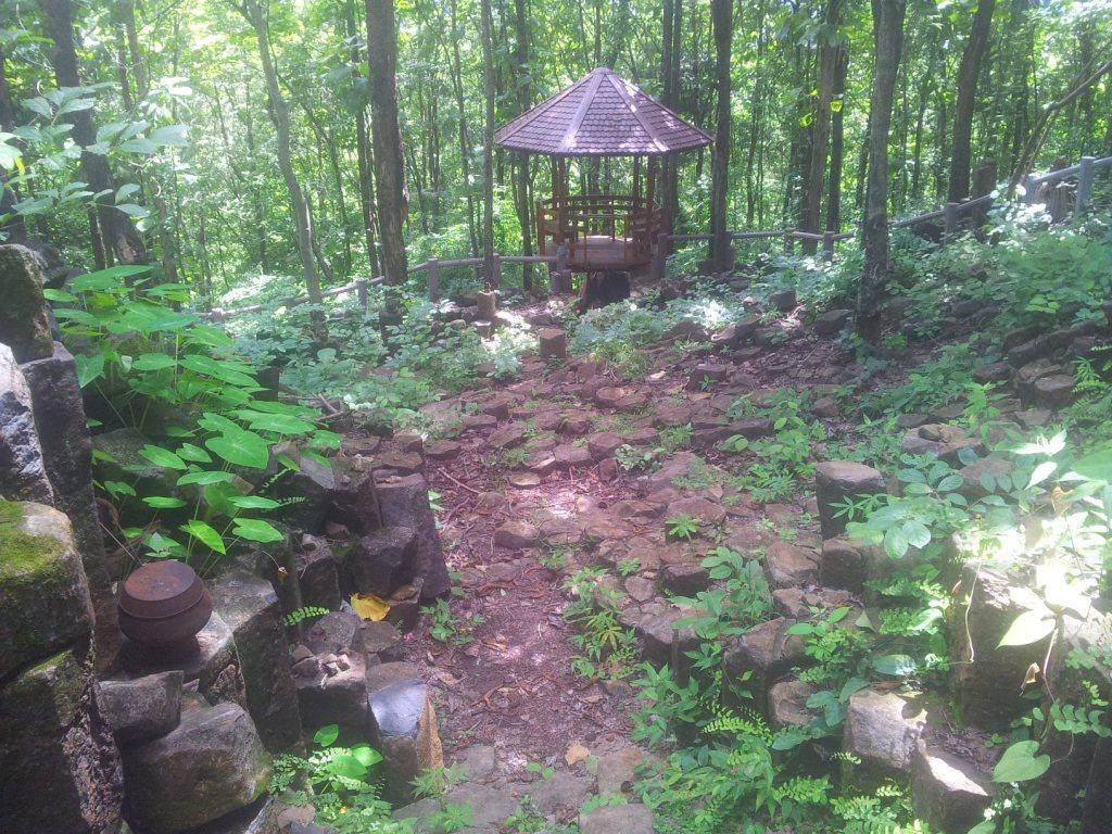 2014-07-30142920.jpg