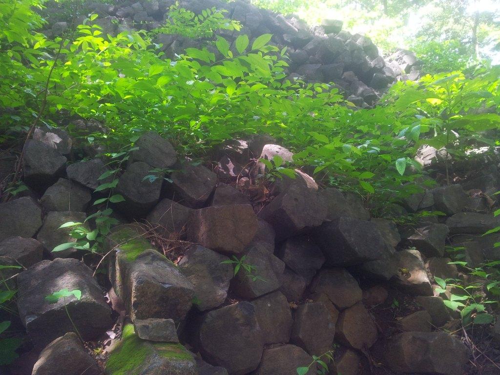 2014-07-30143125.jpg