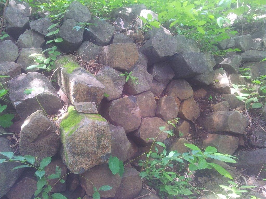 2014-07-30143130.jpg