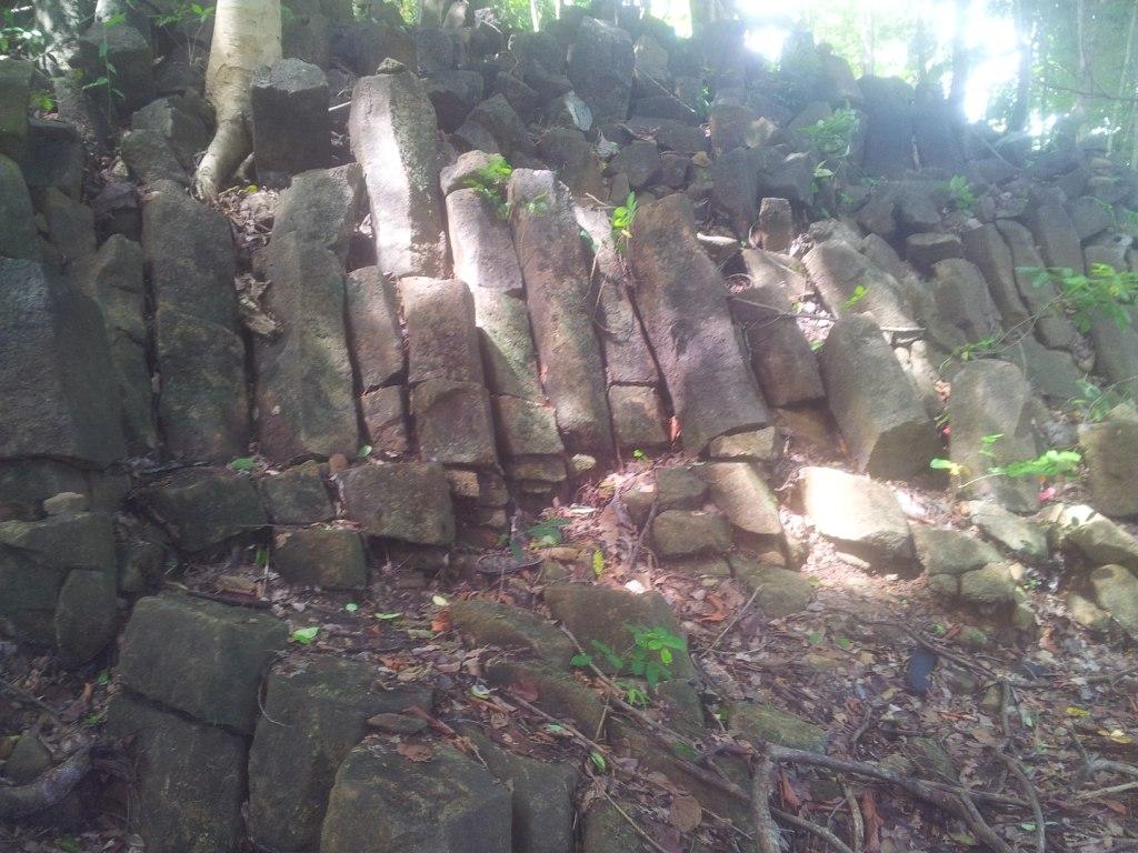2014-07-30143619.jpg