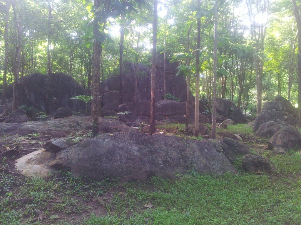 2014-07-30165835.jpg