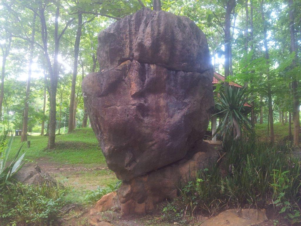 2014-07-30170117.jpg