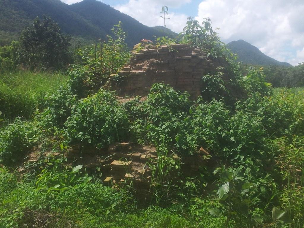 2014-07-31143028.jpg