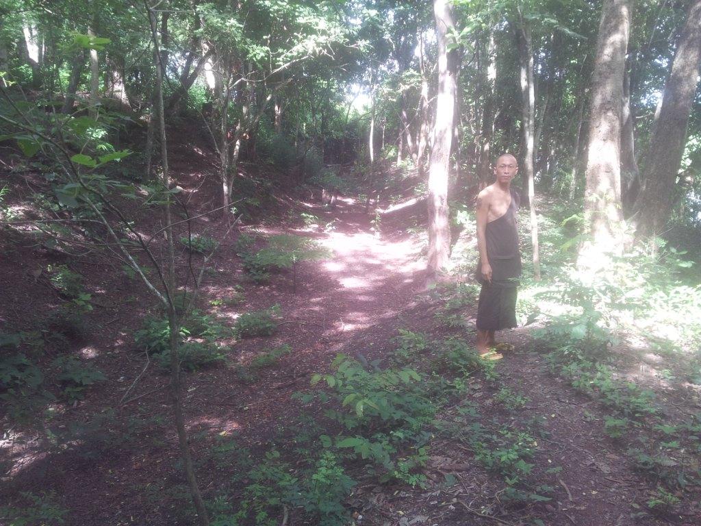 2014-07-31153518.jpg