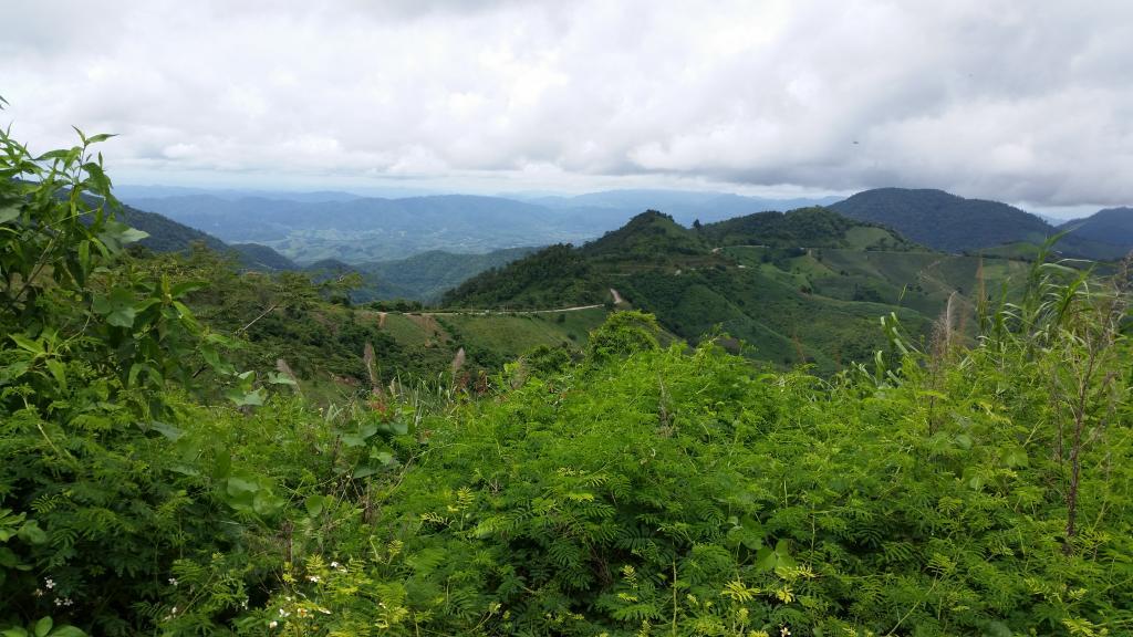 2014-09-17123132.jpg