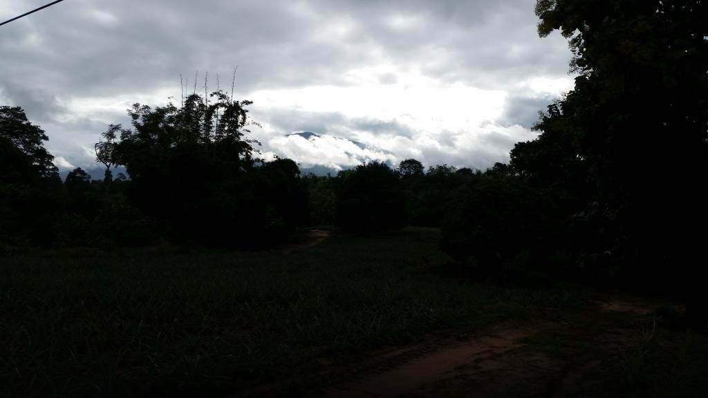 2014-09-18082144.jpg