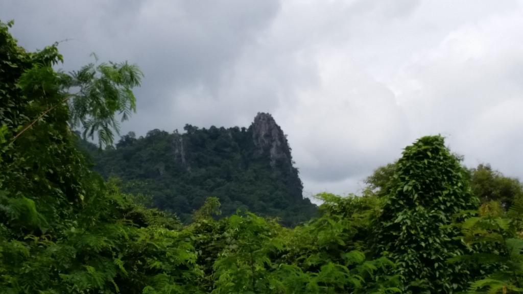 2014-09-18110809.jpg