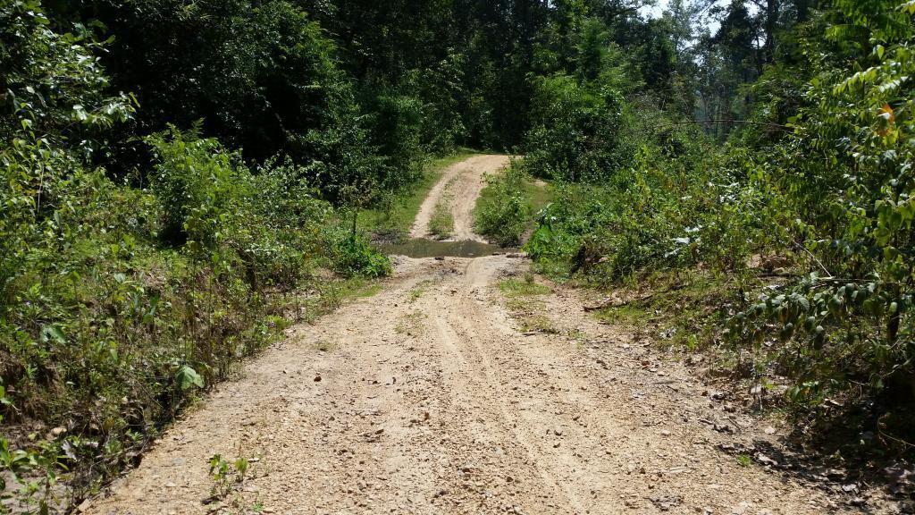 2014-10-07123042-Copy.jpg