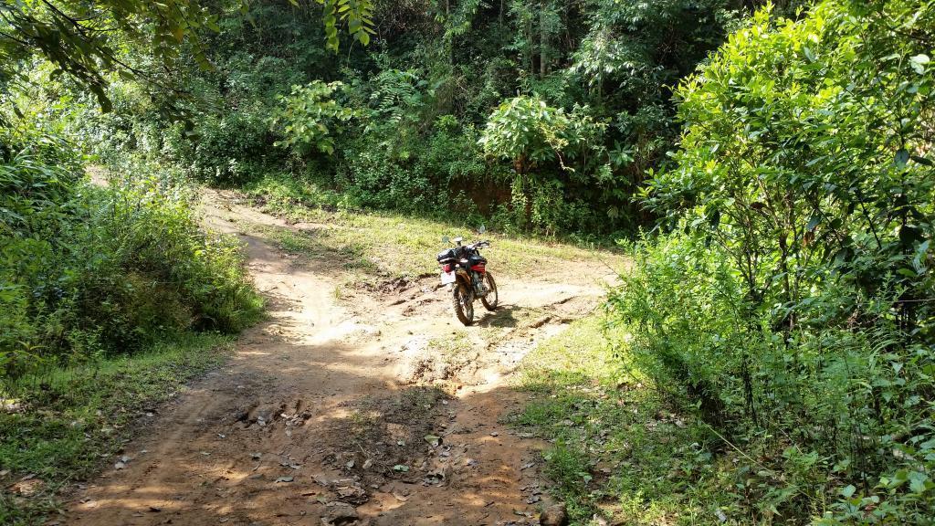 2014-10-08100835-Copy.jpg