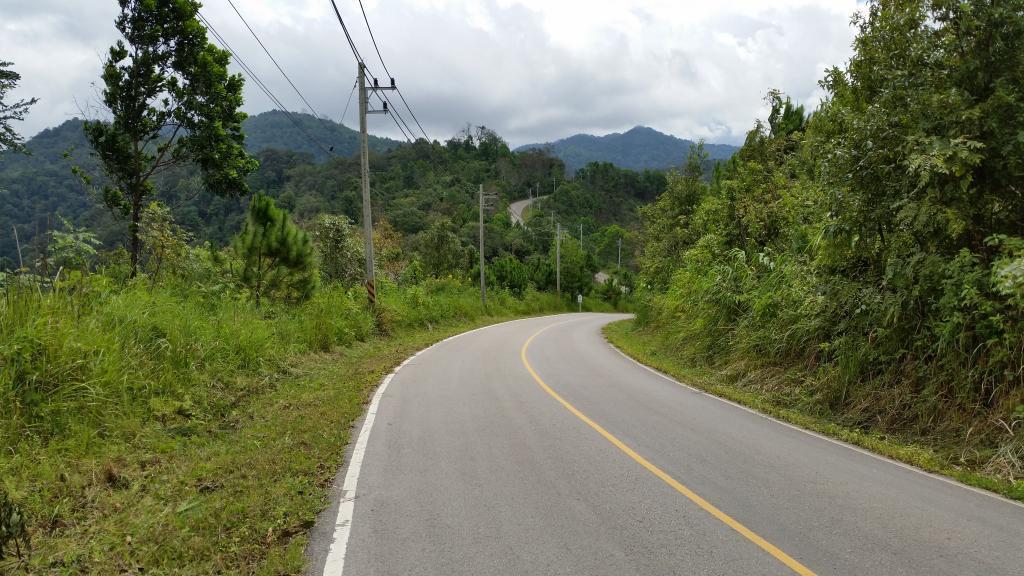 2014-10-09121301-Copy.jpg