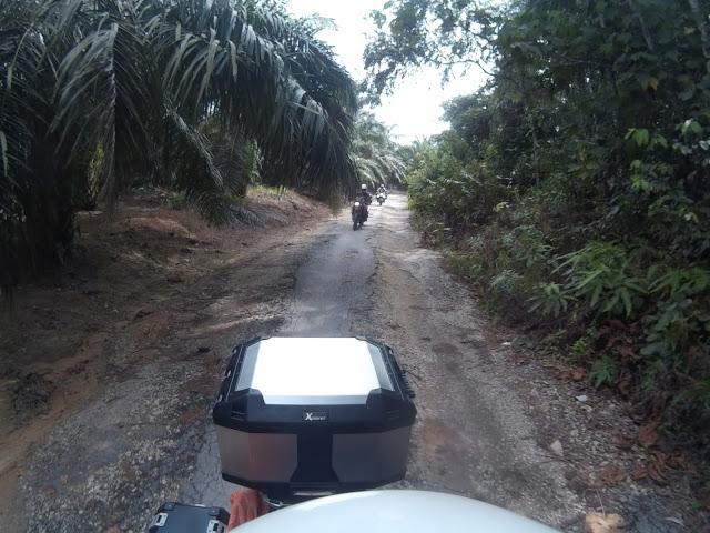 2014_0101_012809_323.jpg