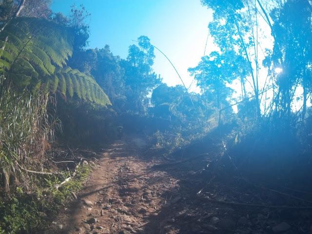 2014_0101_200117_243.jpg