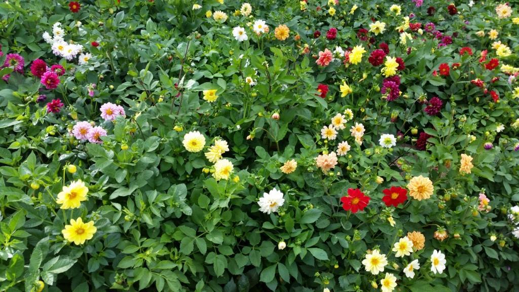 2015-07-04%2008.29.27.jpg