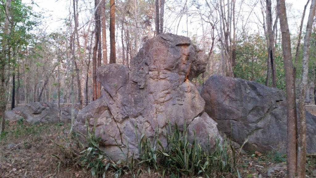 2016-03-09%2007.13.07.jpg
