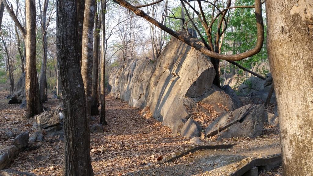 2016-03-09%2007.46.49.jpg