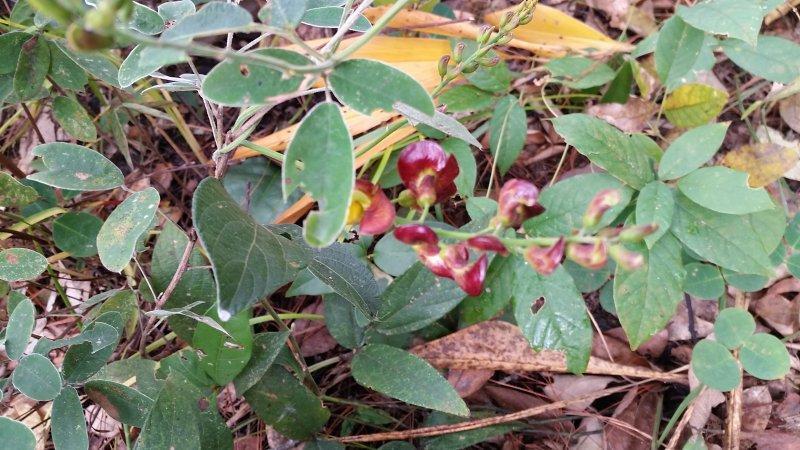 2016-11-28 09.08.24.jpg