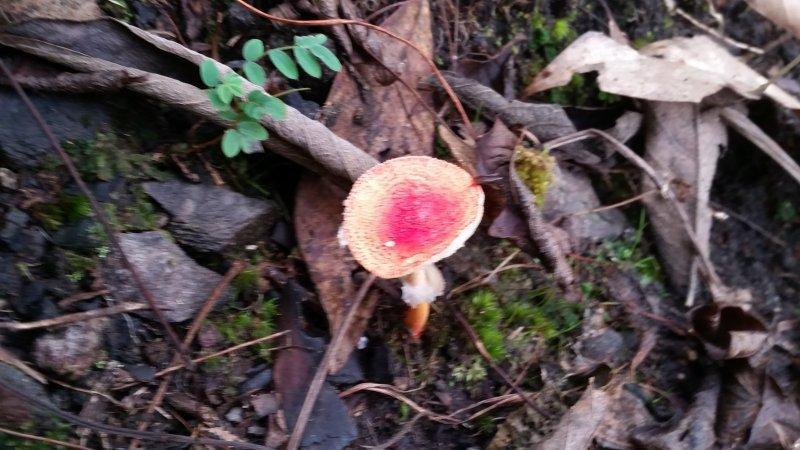 2016-11-29 09.38.17.jpg