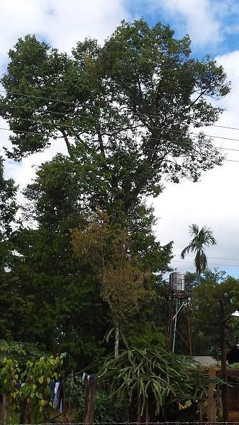 20161111_115042.jpg