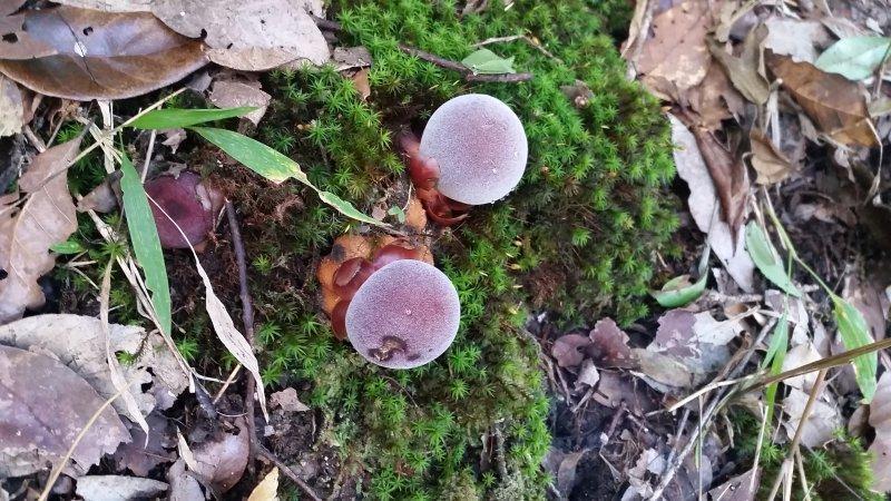 2017-01-15 13.42.00.jpg