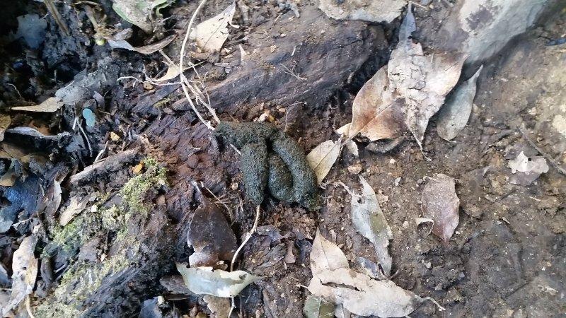 2017-01-15 13.50.06.jpg