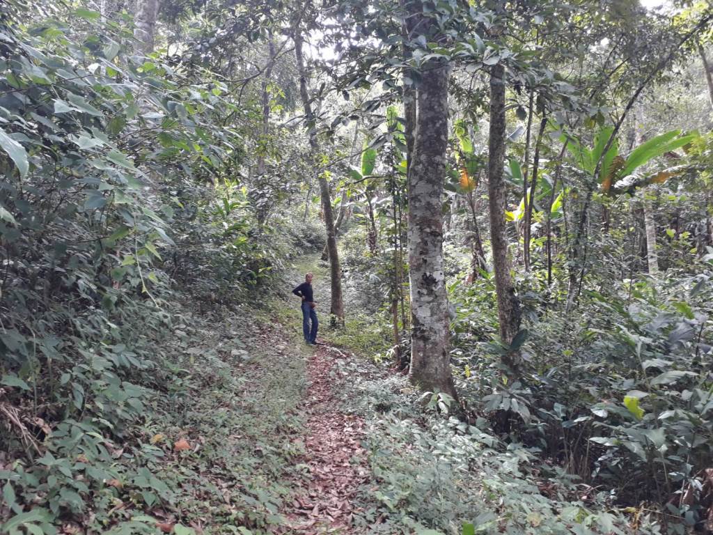 2019-11-05 10.16.20.jpg