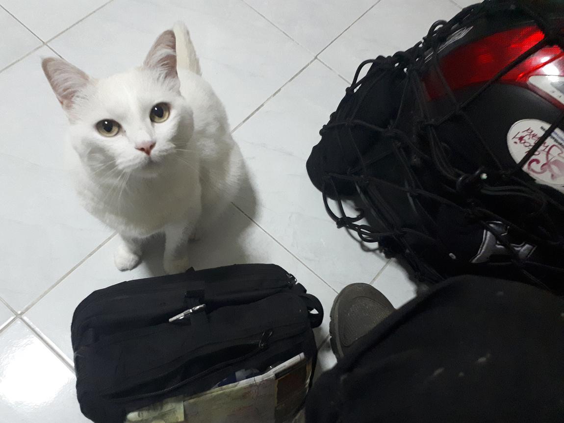20190215_184125sd.jpg