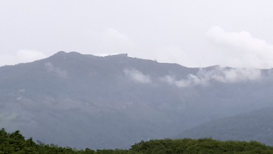 2020-07-12 13.21.50.jpg