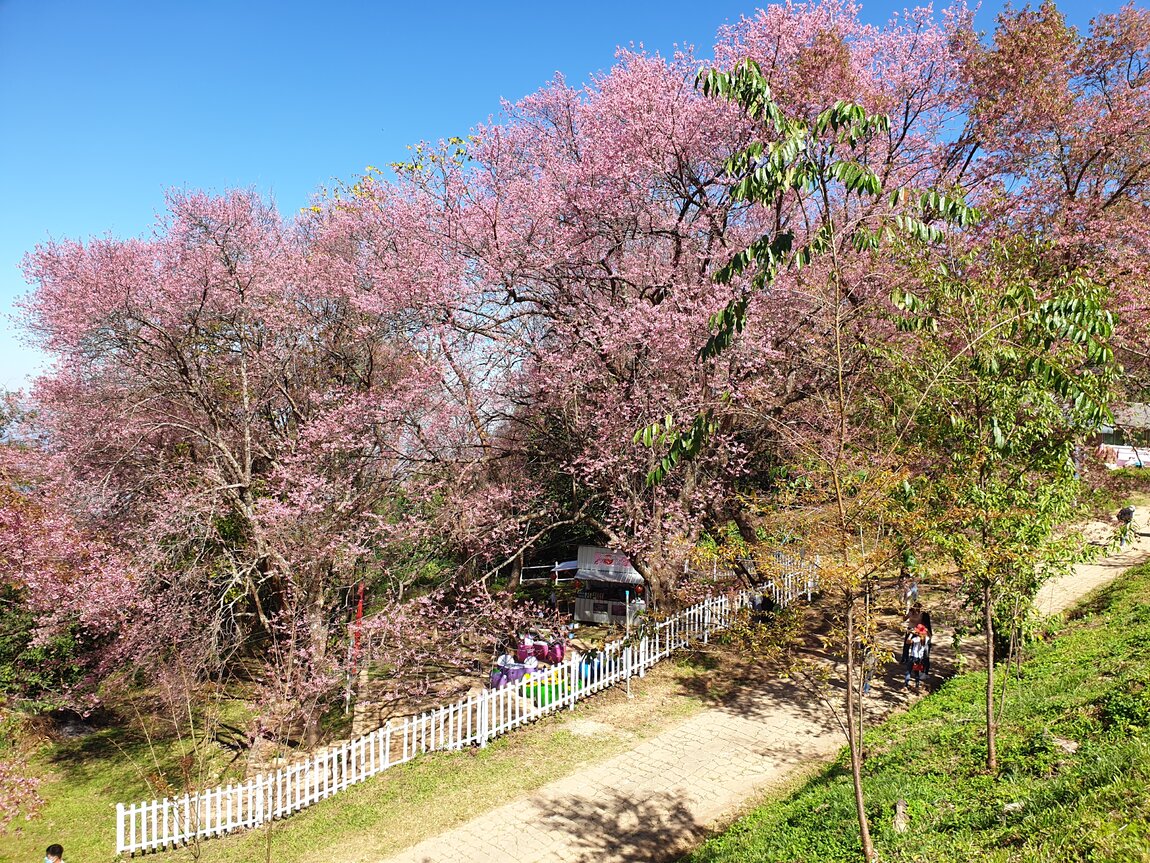 20220110_113549.jpg