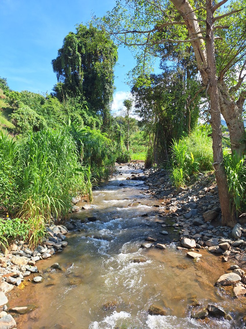 20251029_101834.jpg 20251029_101834.jpg