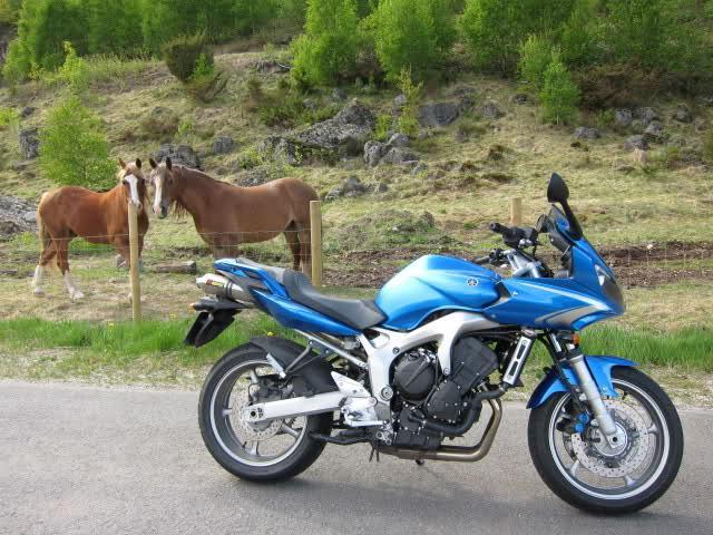 20rwn03.jpg