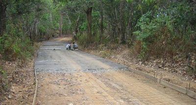 22517372-S.jpg