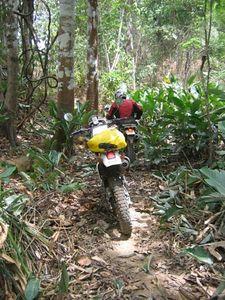 22517378-S.jpg