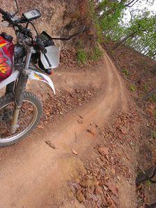 22517395-S.jpg