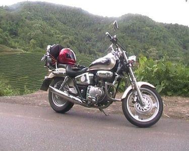 23170486-S.jpg