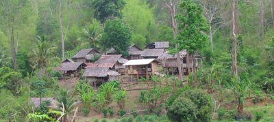 23187282-S.jpg