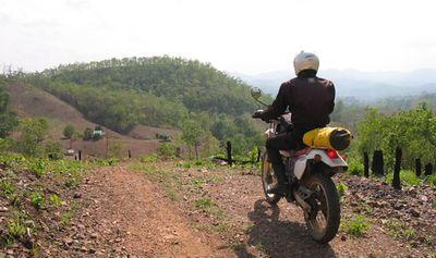 23187293-S.jpg