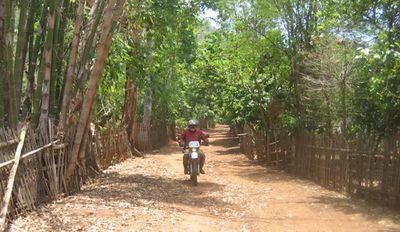 23191617-S.jpg