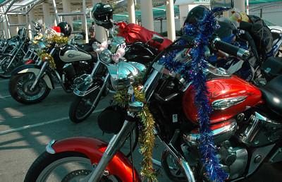 242353397-S.jpg