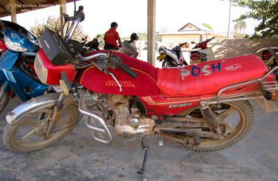 250325054_yoEJY-S.jpg