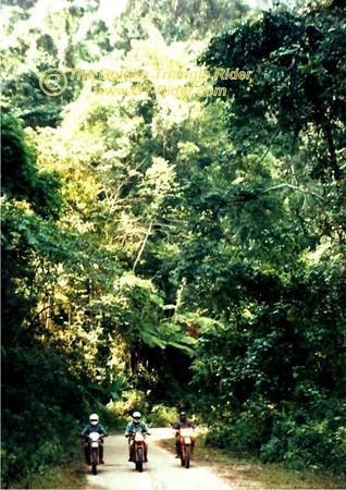 254723740_4EdkF-M.jpg